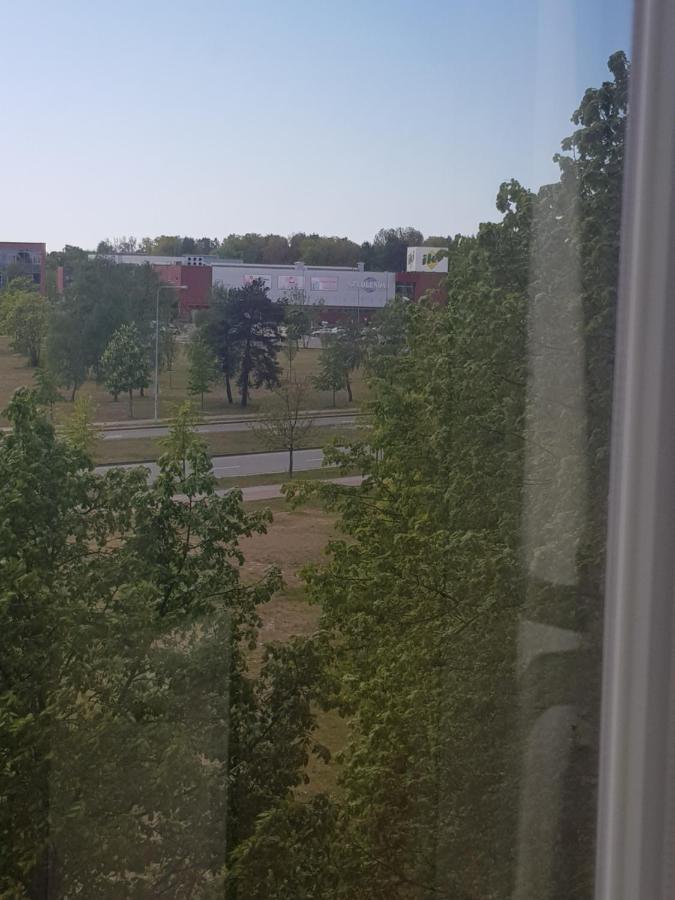 Neringa apartments Klaipeda Bagian luar foto